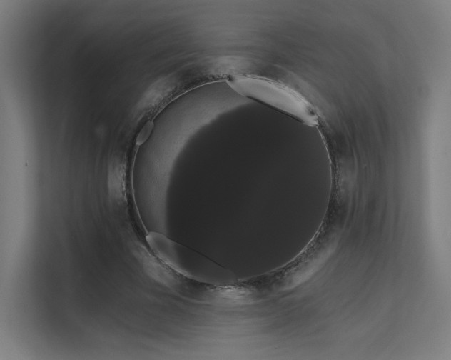 X0000112000585200908101324