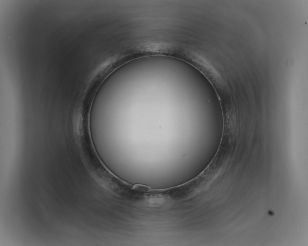 X0000112000587200908101324