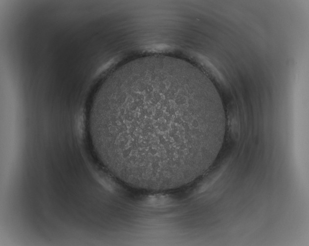 X0000112000591200908101324