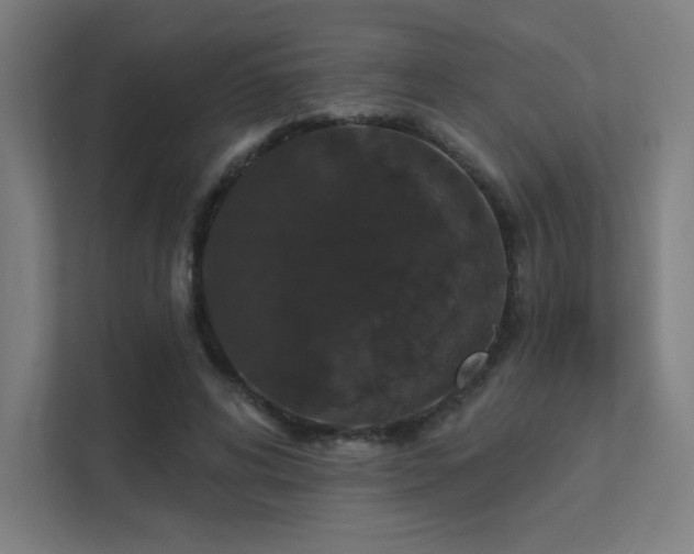 X0000112000592200908101323