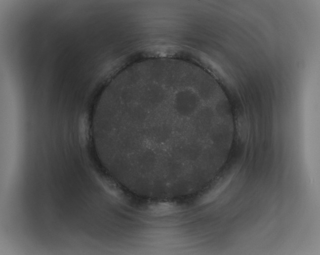 X0000112000594200908101323