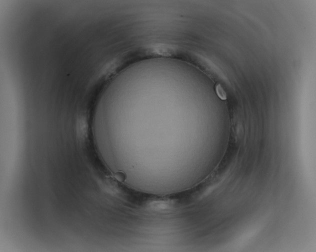 X0000112000595200908101323