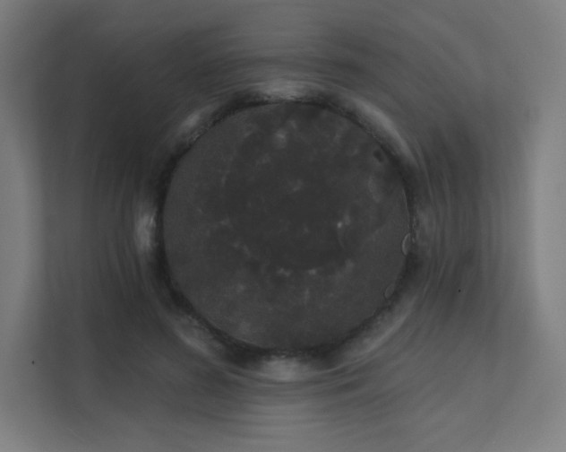 X0000112000596200908101323