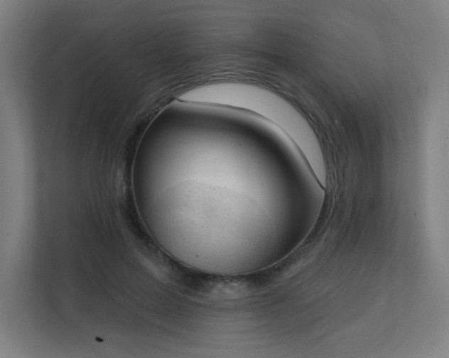 X0000112000599200908101323