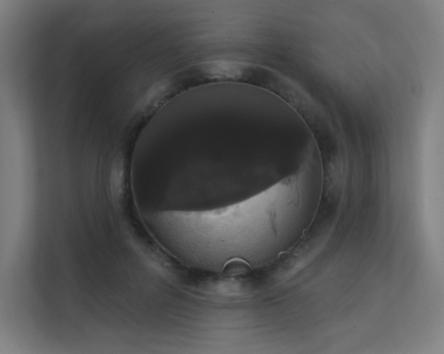 X0000112000600200908101323