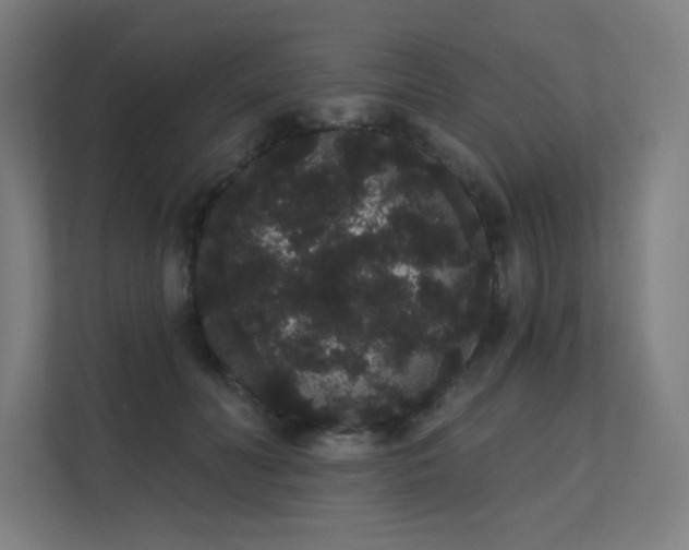 X0000112000606200908101323