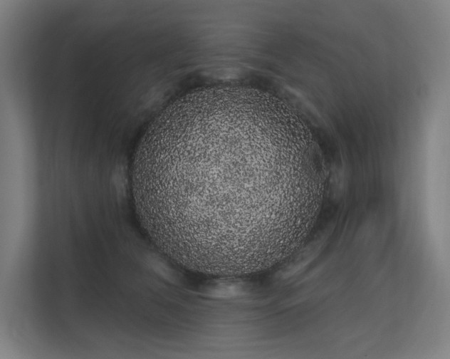 X0000112000612200908101323