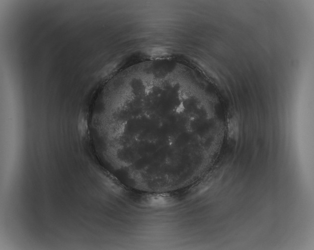 X0000112000618200908101323