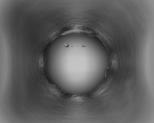 X0000112000620200908101323