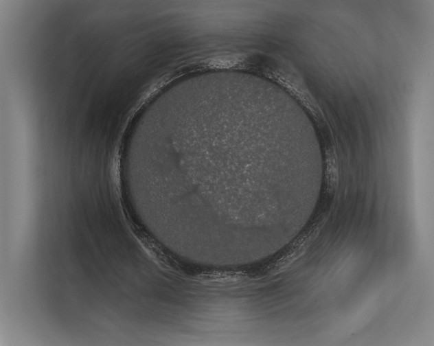 X0000112000626200908101322