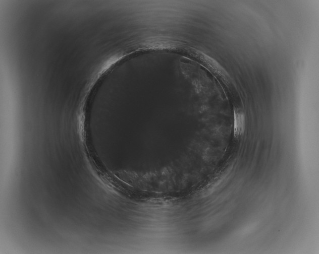 X0000112000627200908101322