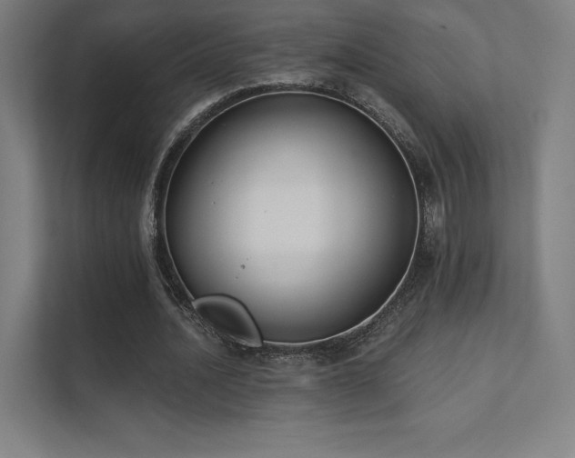 X0000112000628200908101322