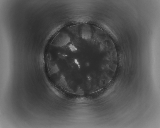 X0000112000634200908101323