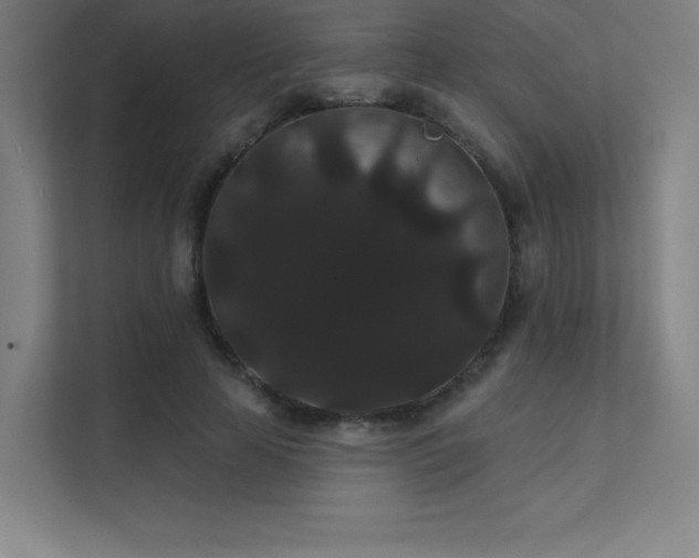 X0000112000641200908101323