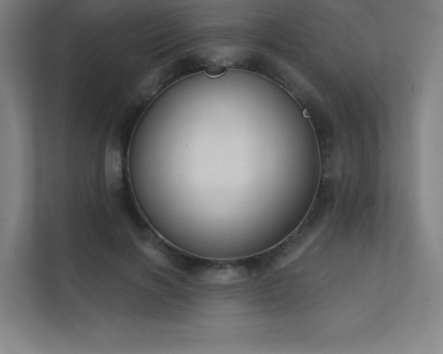 X0000112000646200908101323