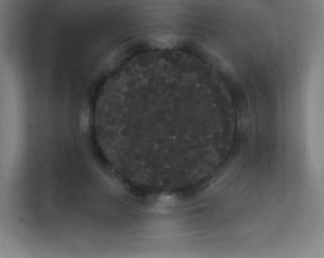 X0000112000647200908101323