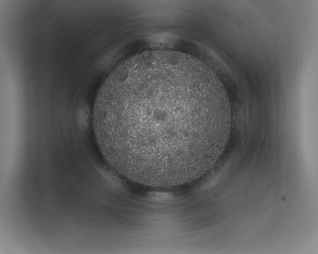 X0000112000649200908101323