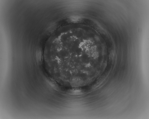 X0000112000651200908101323