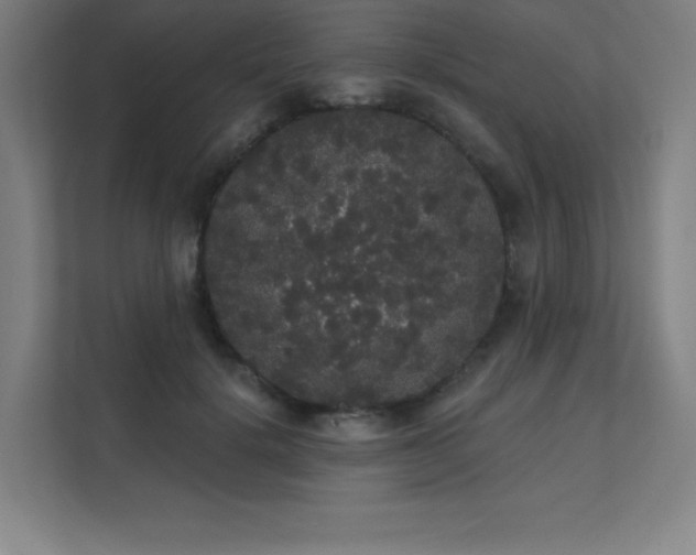 X0000112000652200908101323