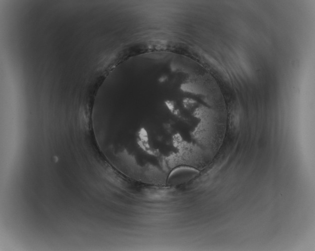 X0000112000661200908101323