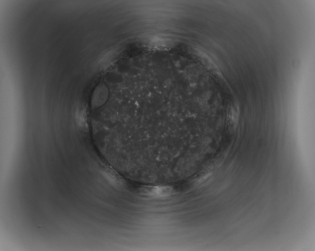 X0000112000663200908101323