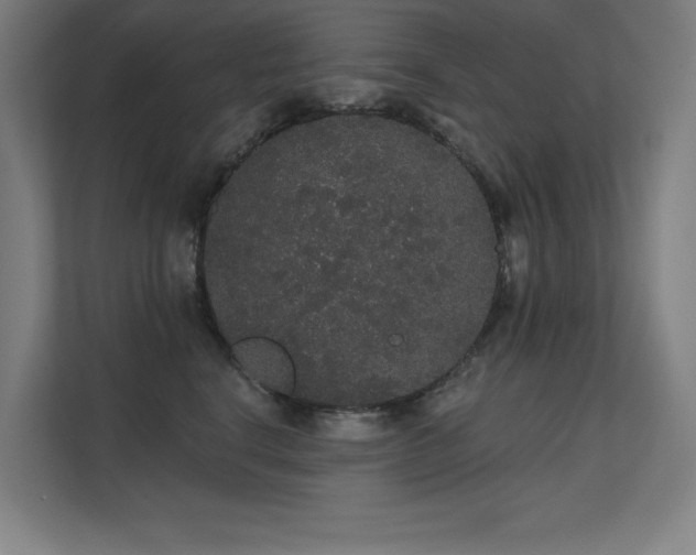 X0000112000664200908101323