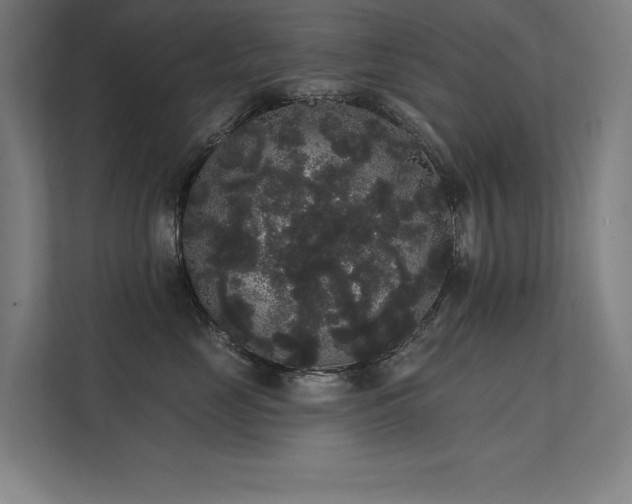 X0000112000669200908101323