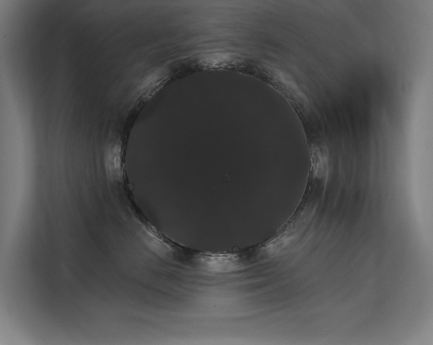 X0000112000670200908101323