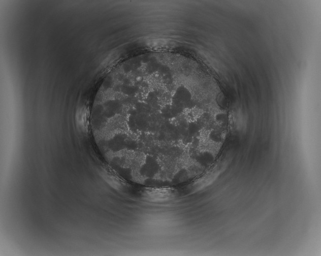 X0000112000671200908101323