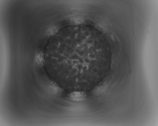 X0000112000672200908101323