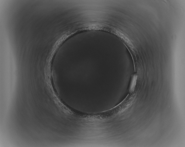 X0000112000673200908101322