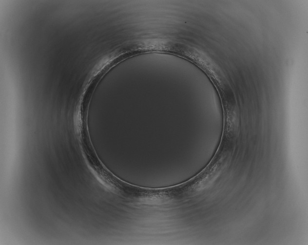 X0000112000674200908101322