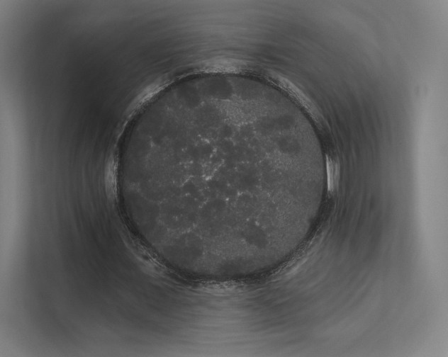 X0000112000675200908101322