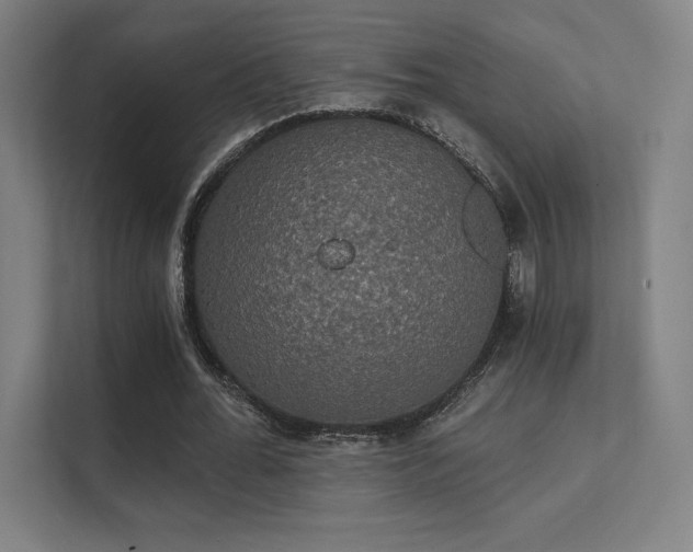 X0000112000676200908101322