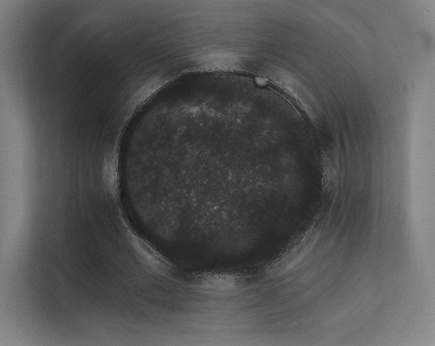 X0000112000677200908101322