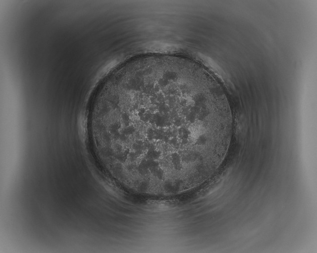 X0000112000679200908101322