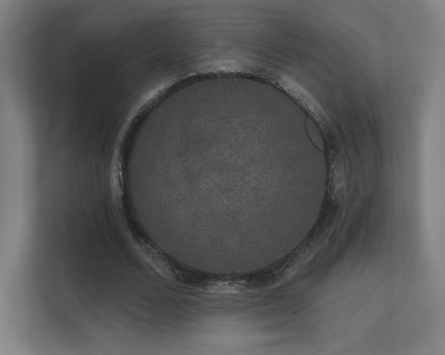 X0000112000680200908101322