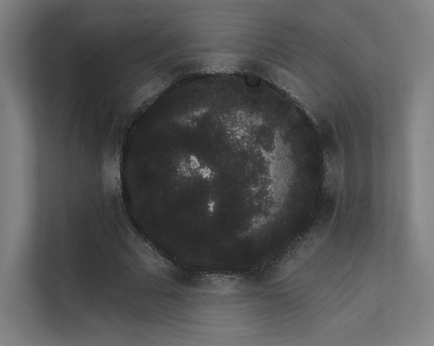 X0000112000681200908101322