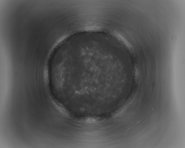 X0000112000684200908101322