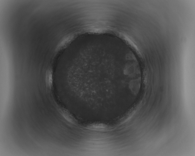 X0000112000685200908101322