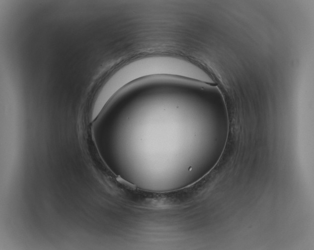 X0000112000688200908101322