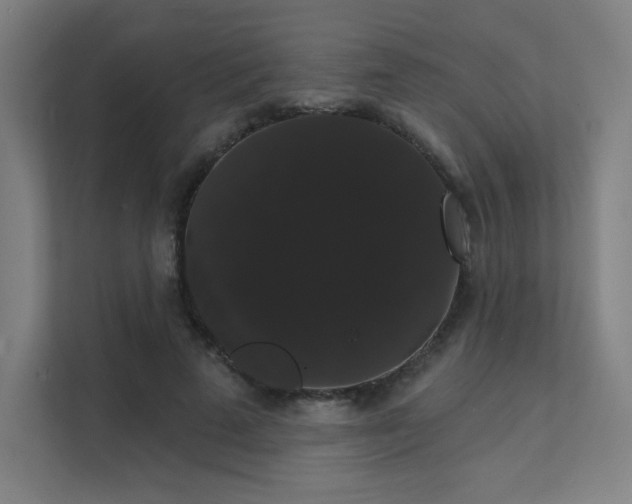 X0000112000689200908101322