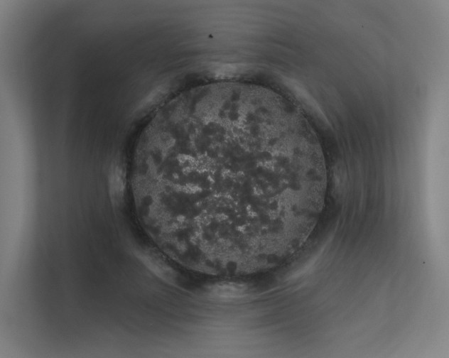 X0000112000691200908101322