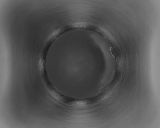 X0000112000692200908101322