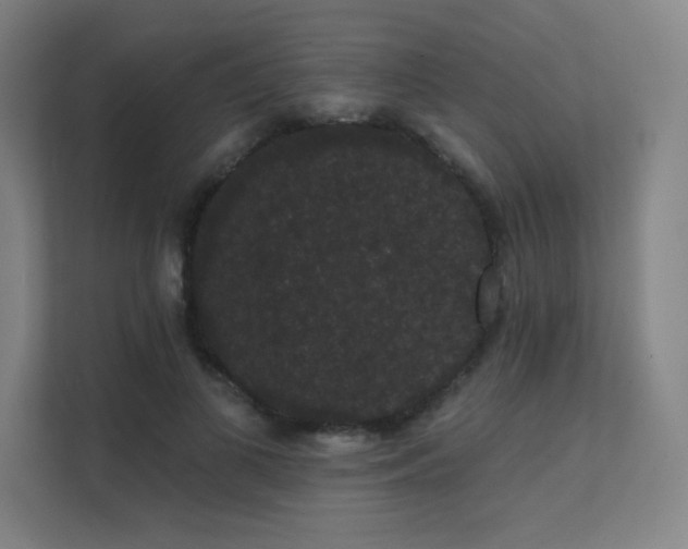 X0000112000693200908101322