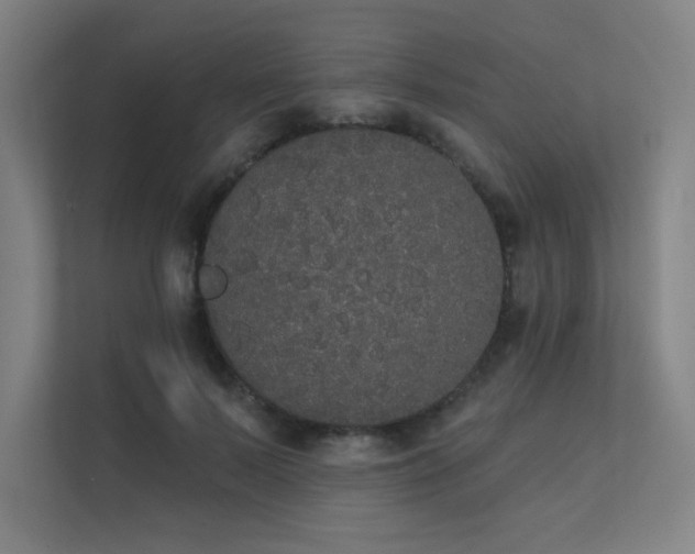 X0000112000695200908101322