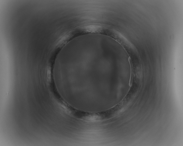 X0000112000696200908101322