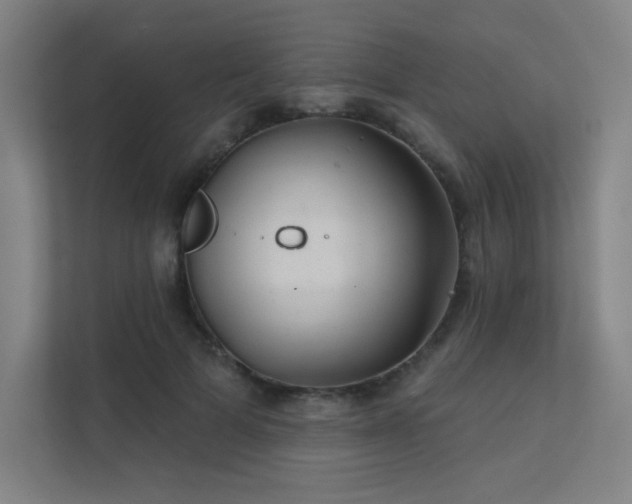 X0000112000697200908101322