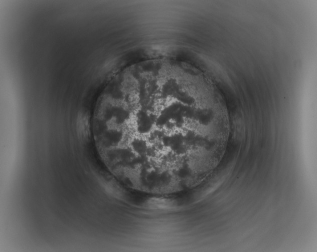 X0000112000699200908101322