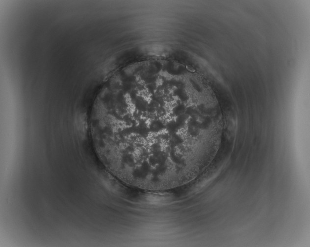 X0000112000707200908101322